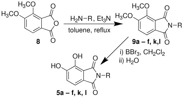 Scheme 2