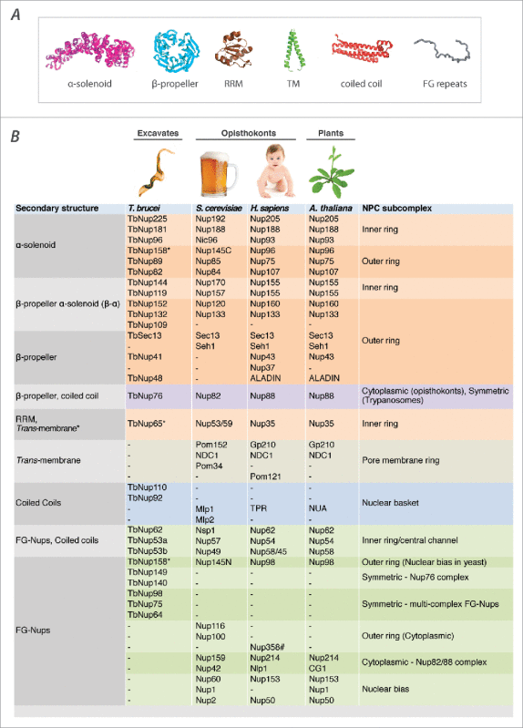 graphic file with name kncl-08-04-1313936-i001.gif