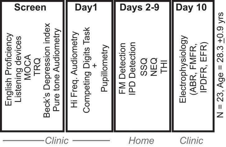 Figure 1—figure supplement 3.