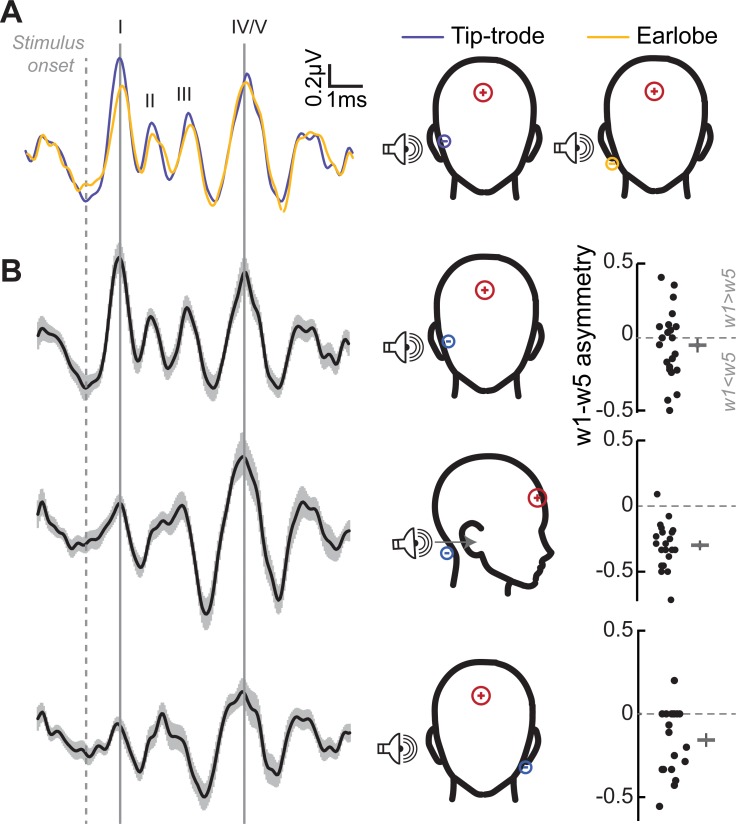 Figure 2—figure supplement 1.