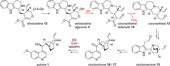 Scheme 1