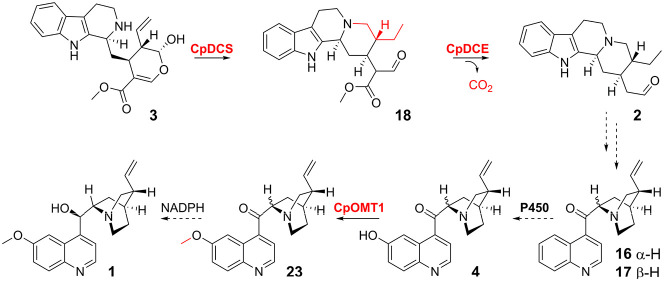 graphic file with name ol1c00206_0007.jpg