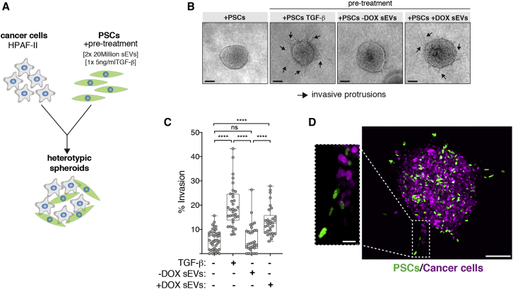 Figure 6