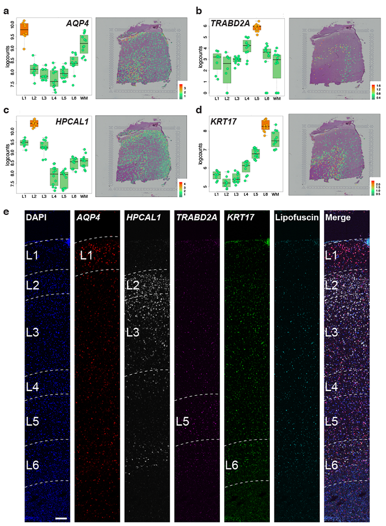 Figure 4: