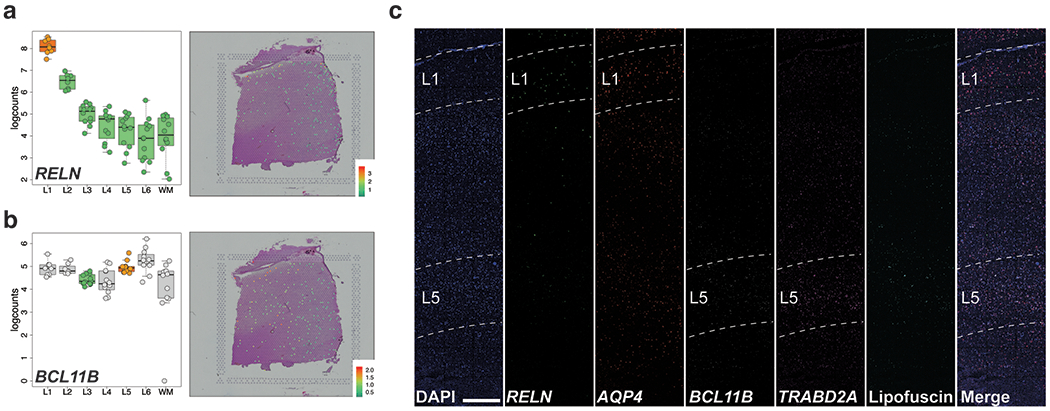 Extended Data Fig. 7