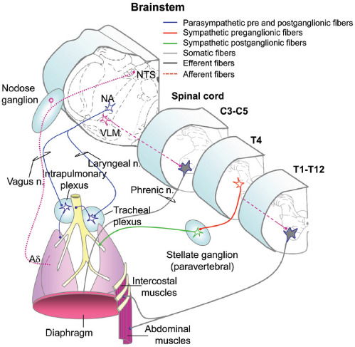 Figure 2: