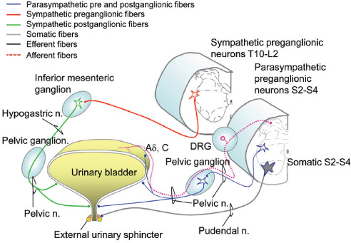 Figure 3: