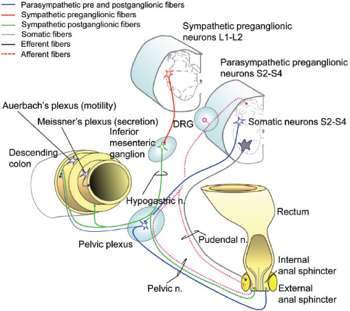 Figure 4: