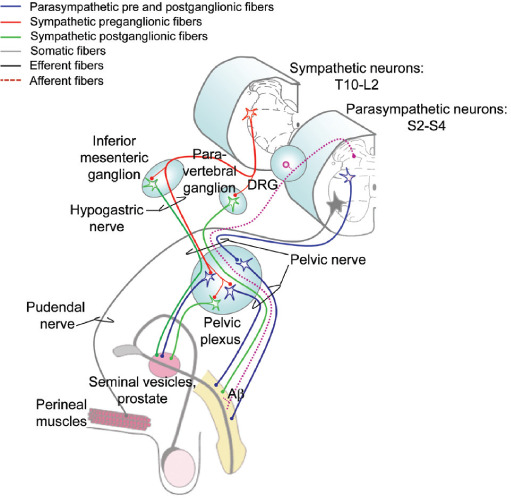 Figure 5: