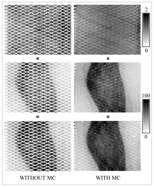 FIGURE 4