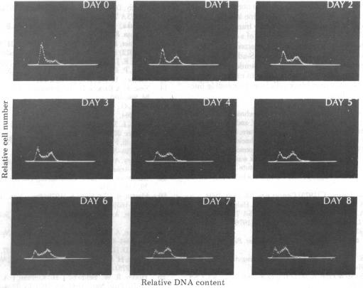 graphic file with name pnas00499-0371-a.jpg