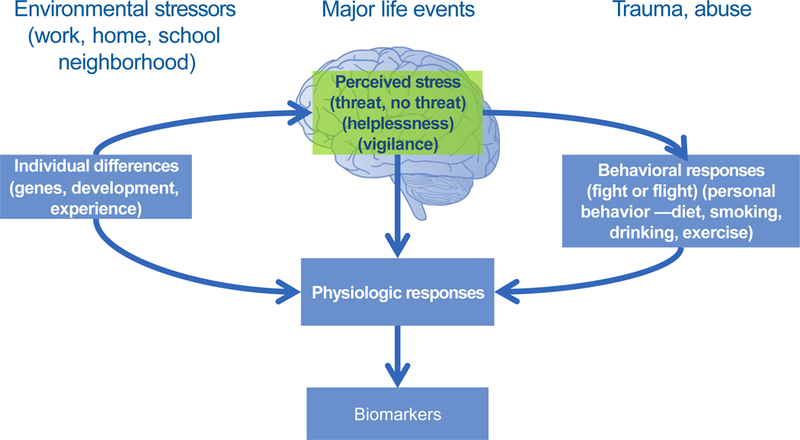 Figure 1: