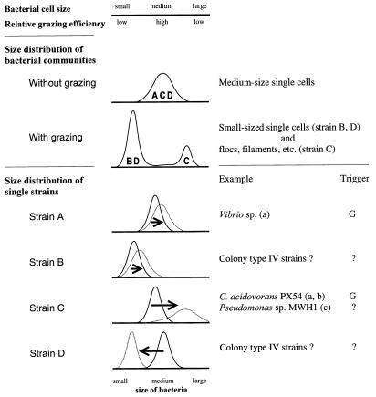 FIG. 7