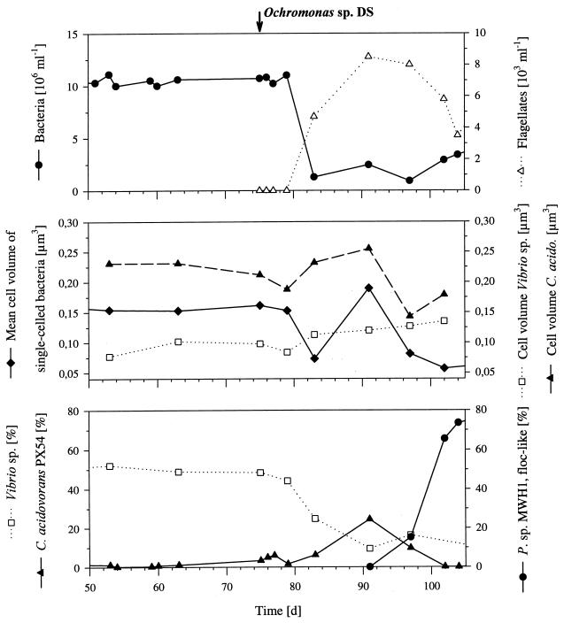 FIG. 5