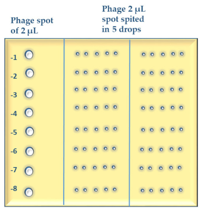 Figure A5