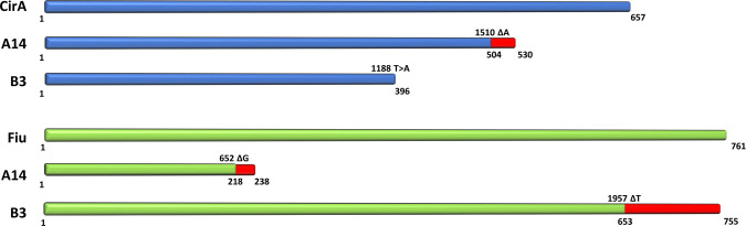 Fig 3