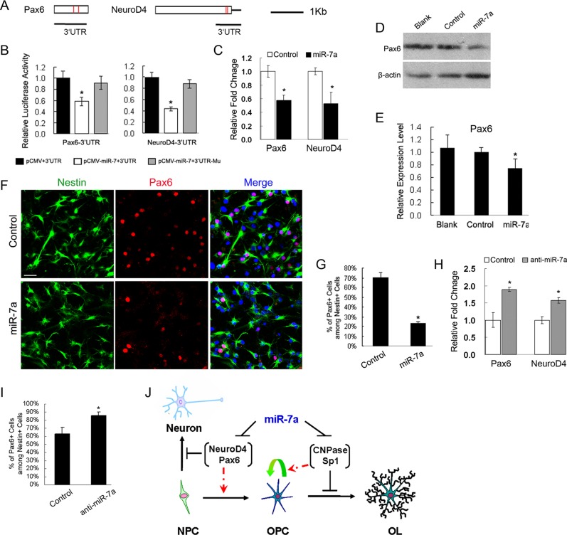 FIGURE 6: