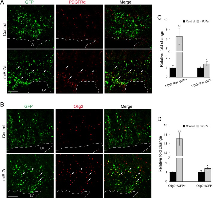 FIGURE 3: