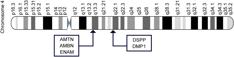 Fig 4