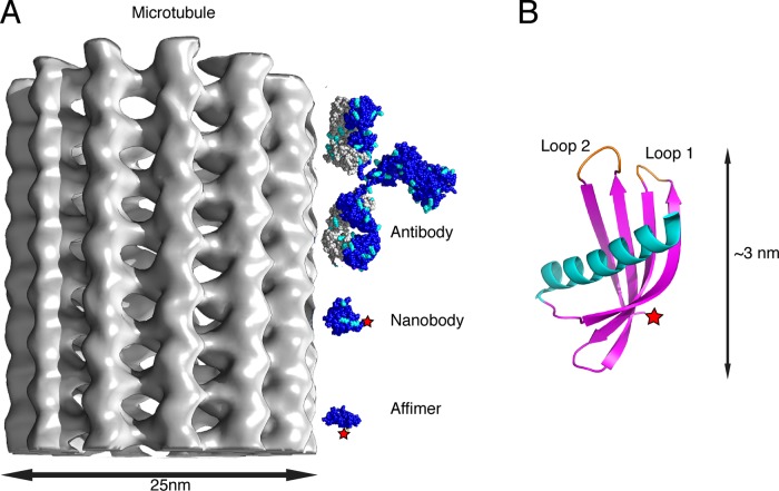 FIGURE 1: