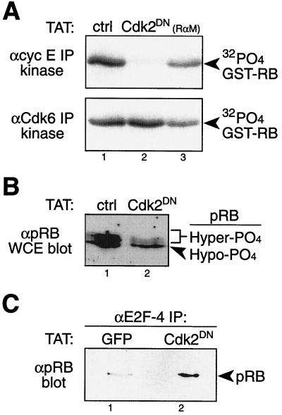 FIG. 6