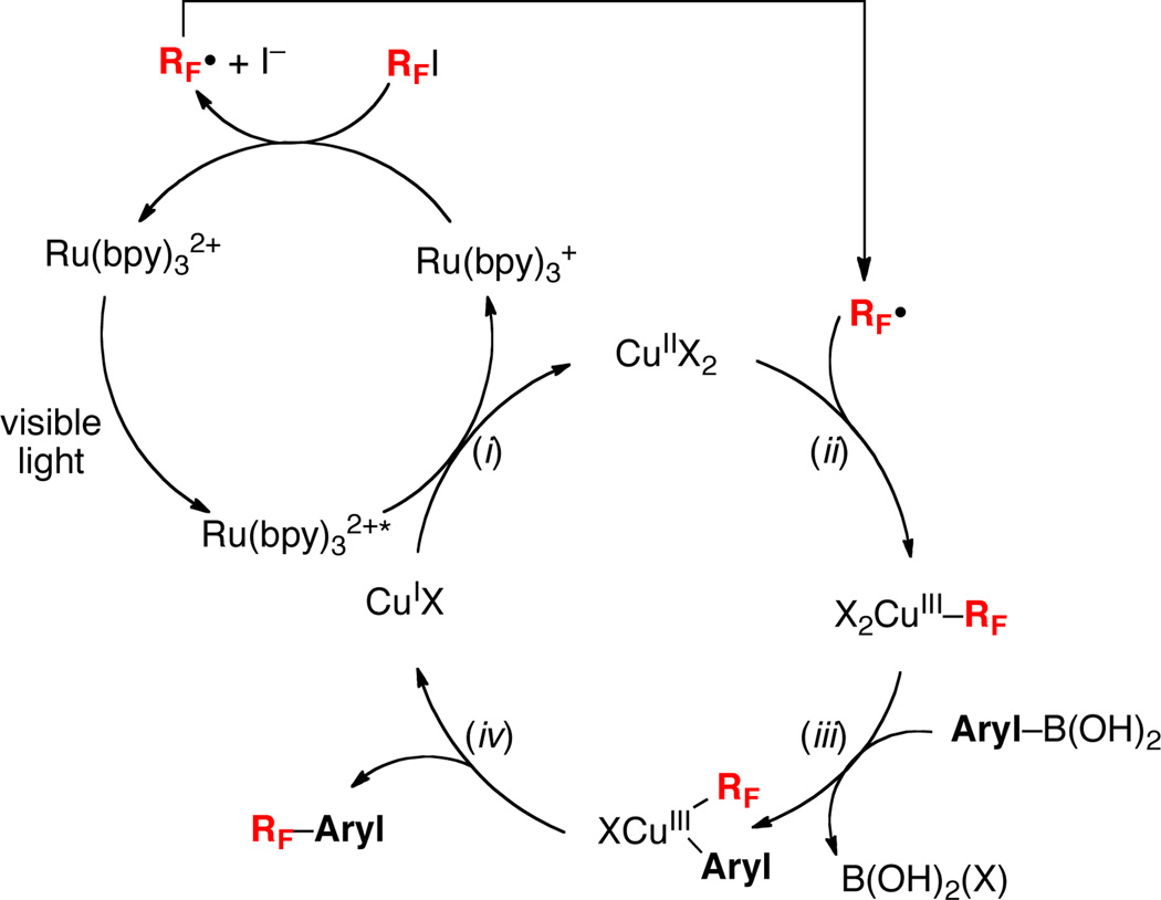 Scheme 5