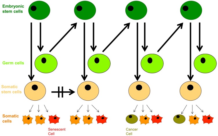 FIGURE 3