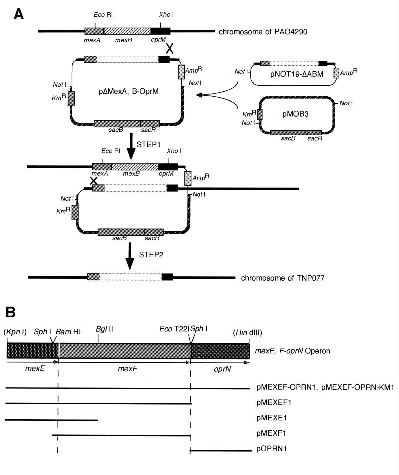 FIG. 1