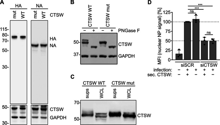 FIG 1