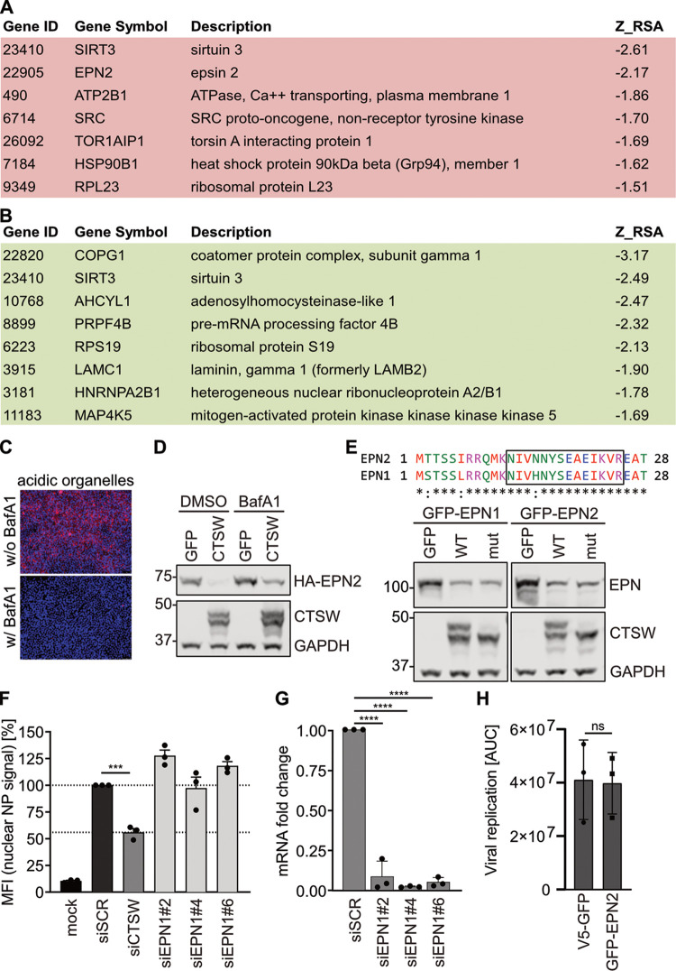 FIG 3