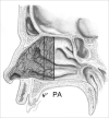 Figure 8