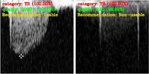 Fig. 9.