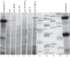 FIG 7
