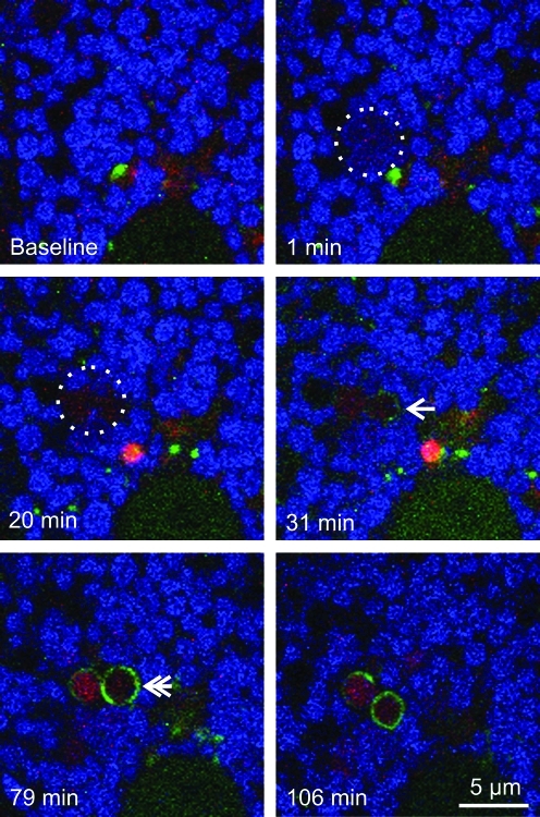 FIG. 6.