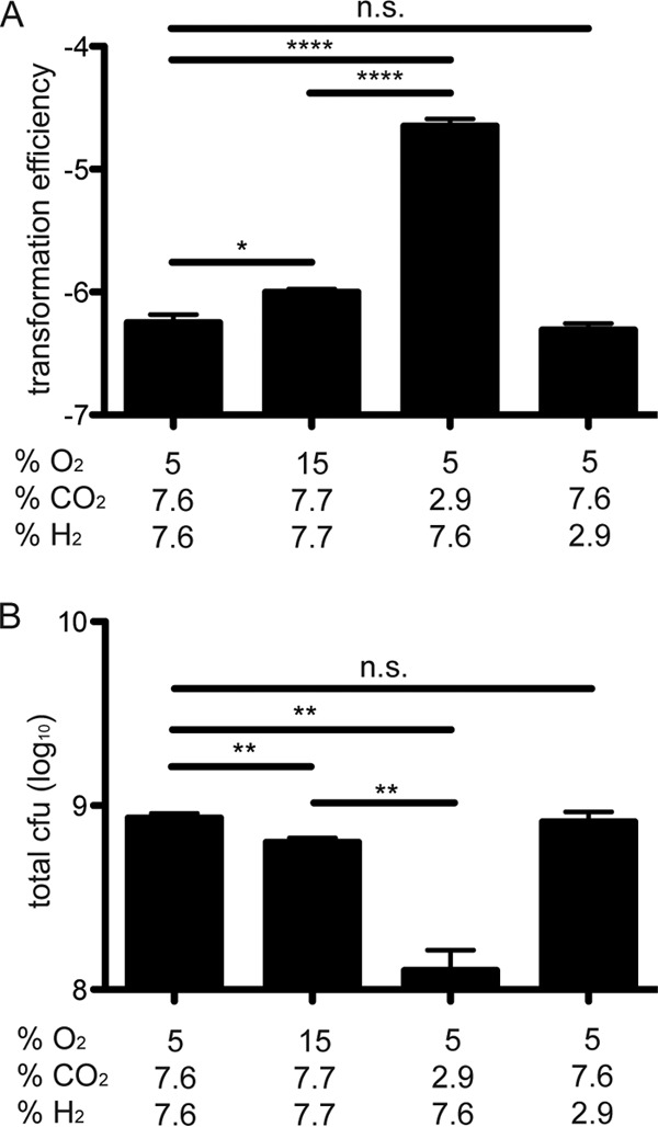 FIG 6