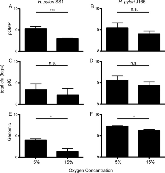 FIG 3