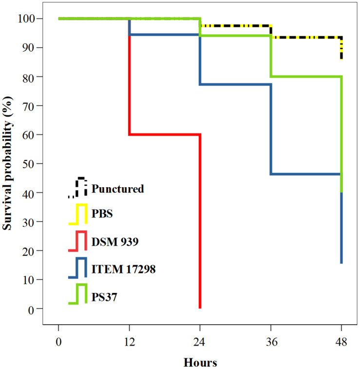 FIGURE 3