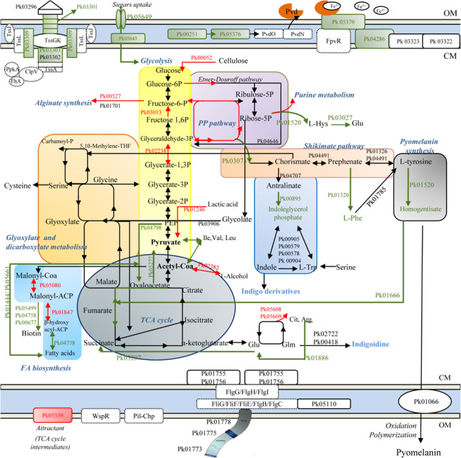 FIGURE 2