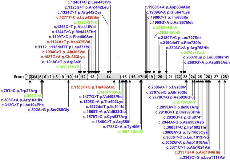 Figure 3