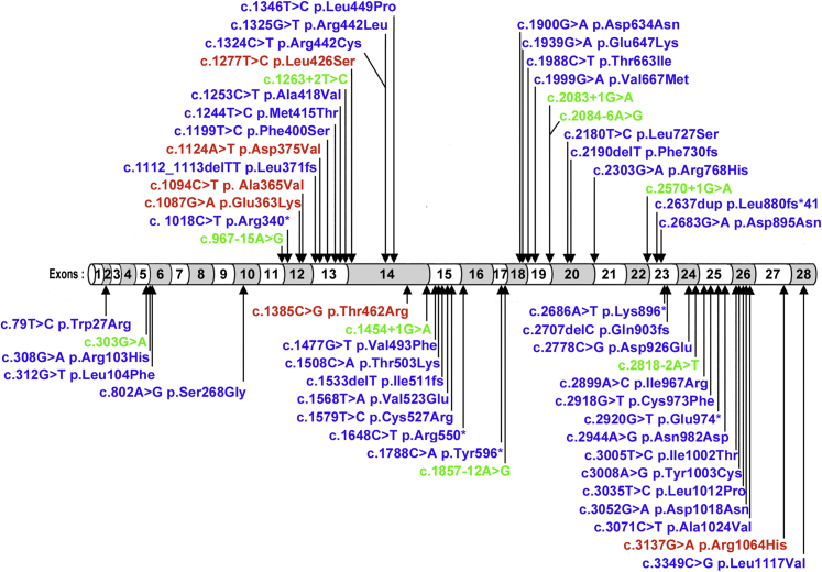 Figure 3