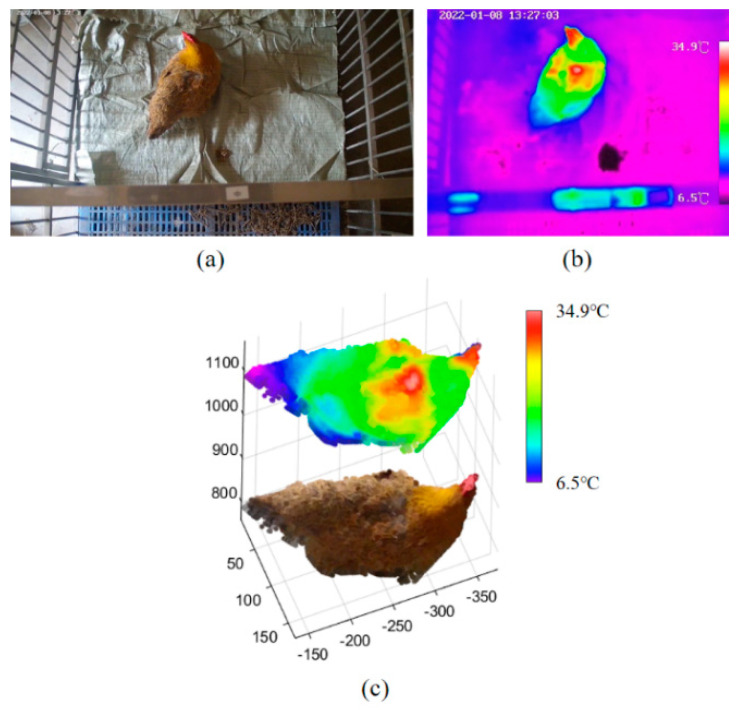 Figure 12