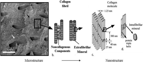 Fig.2