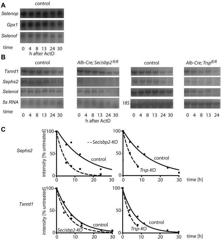 Figure 5.