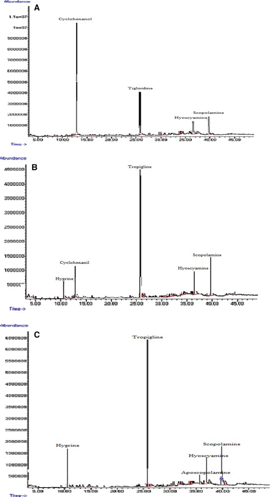 Figure 13