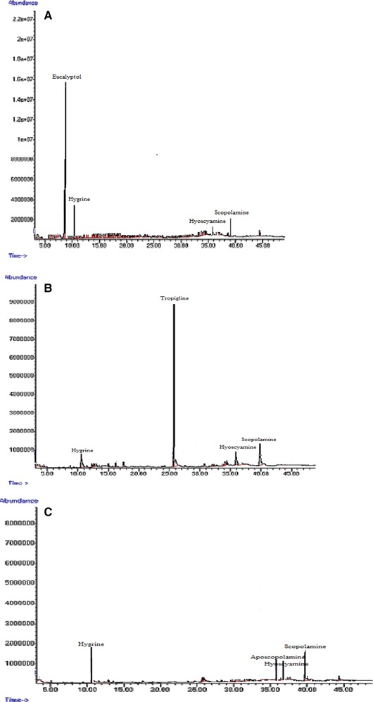 Figure 12