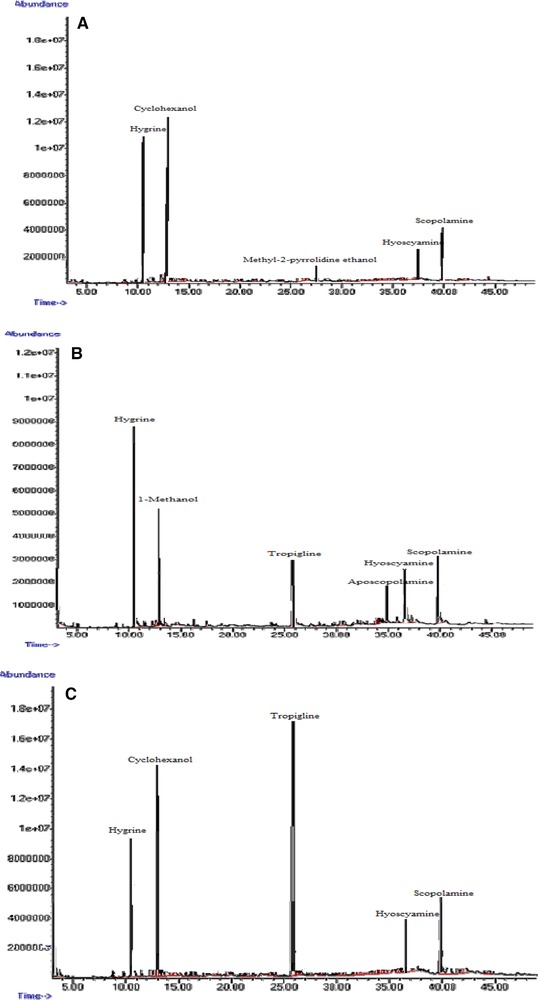 Figure 15