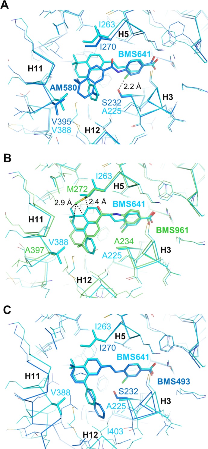 Fig 5