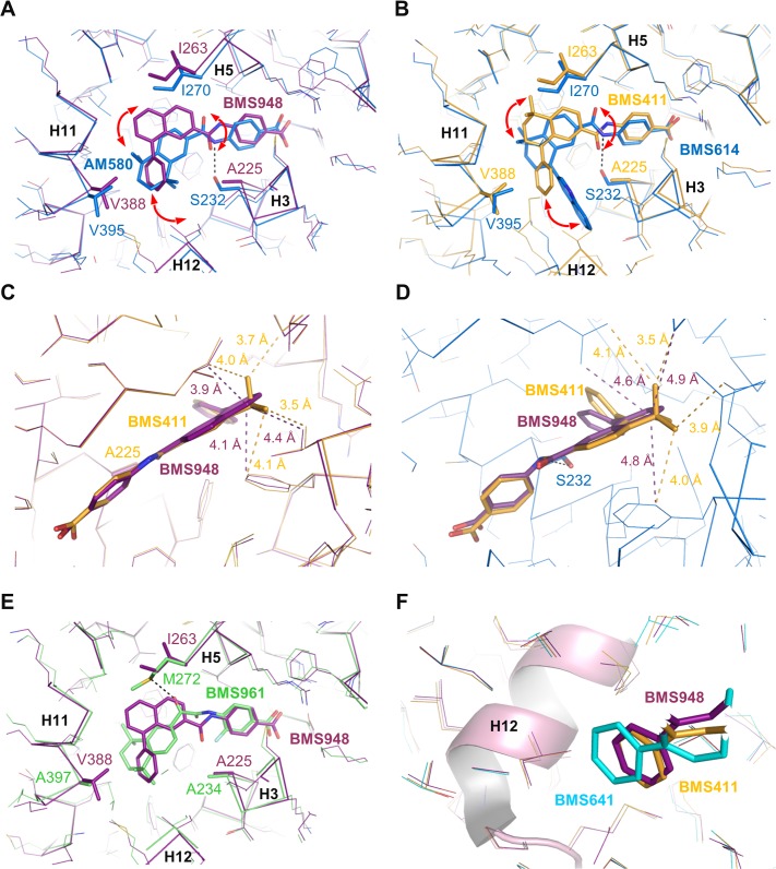 Fig 6