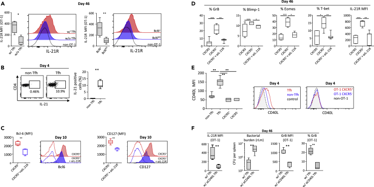 Figure 6