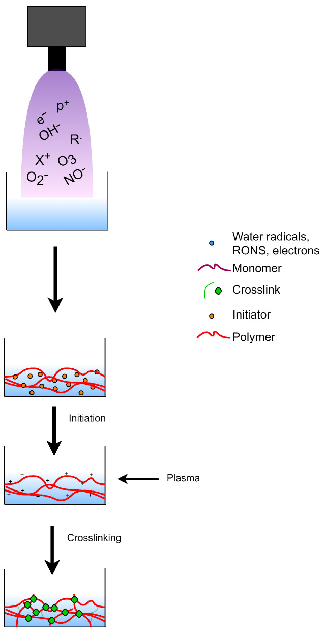 Figure 13